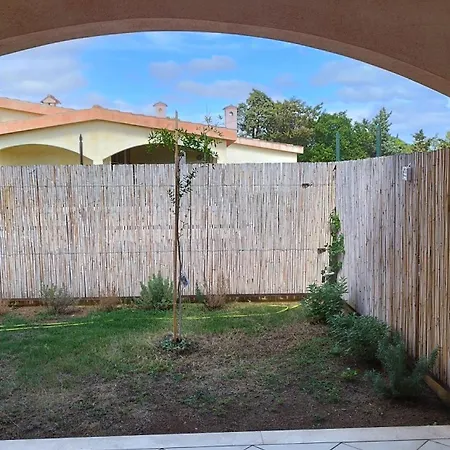 Casa Olivo Le Ginestre Apartment
